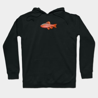 Cherry Barb Fish Hoodie